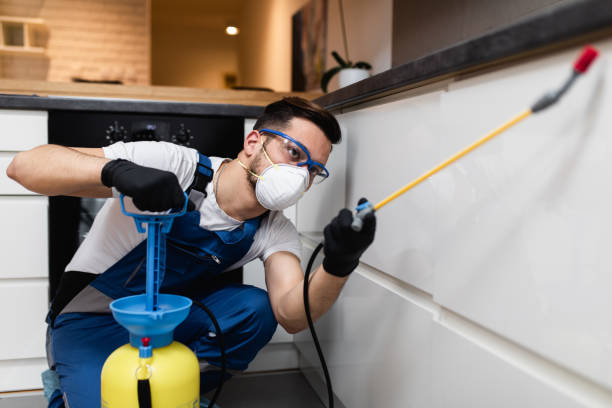 Best Mosquito Control Services  in Lake Success, NY