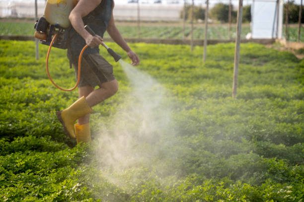 Best Local Pest Control Services  in Lake Success, NY