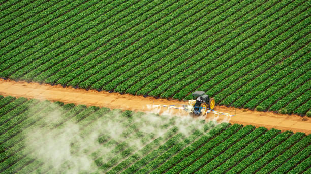 Best Commercial Pest Control Services  in Lake Success, NY