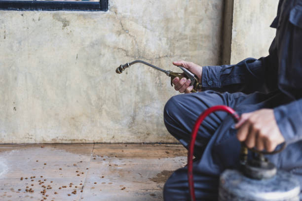Best Exterminator Services  in Lake Success, NY