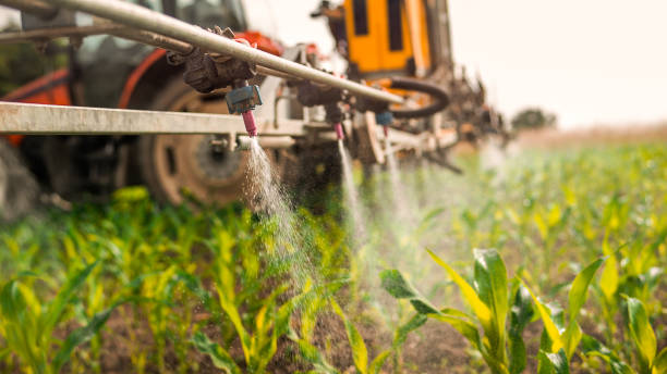 Best Best Pest Control Companies  in Lake Success, NY